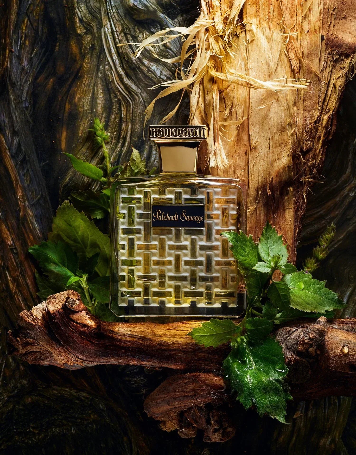 Houbigant: Patchouli Sauvage – kraftvolles Handwerk in holziger Natur ...