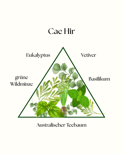 Duftkerzen Bundle: Fine Wood Collection