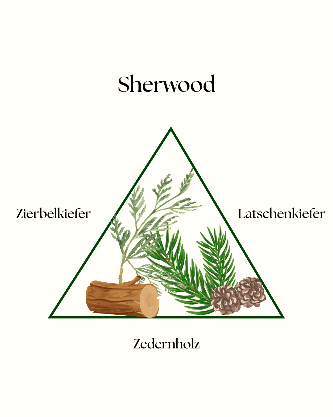 Duftkerzen Test-Set - Sherwood, Babahoyo & CAE HIR (alle 90g) + 5€ Gutschein - NEU