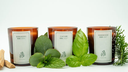 Duftkerzen Bundle: Fine Wood Collection