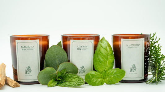 Duftkerzen Bundle: Fine Wood Collection